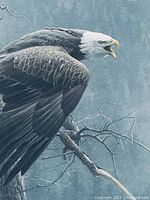 Close-up of signed and detailed bald eagle with open beak crouched on a bare tree branch against a forest background.