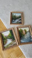 Photo showing all three framed landscape paintings on a carpeted floor: a river through forest with mountains, a river with trees and rocks, and a river with a stone bridge.