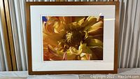 Full view of the framed photographic print showing yellow flower and wooden frame.