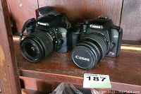 Two Canon DSLR cameras side by side on wooden shelf, showing both models with attached zoom lenses