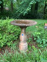 Full view of the cement bird bath standing outdoors among green plants. Basin containing some water, showing wear and weathering.