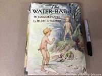 Front of the dust jacket showing illustrated cover of "The Water-Babies" with two children in water and surrounding nature, title and author Harry G. Theaker.