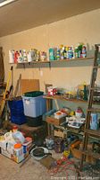 Wide-angle view of shelves holding chemical containers, paint cans, plastic bins, tools, and the back portion of the wooden ladder leaning against the wall