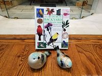 Front view of the two ceramic bird figurines around the book "The Audubon Backyard Birdwatcher" showing size and condition.