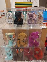 Wide view showing 13 bear Beanie Babies each in clear acrylic cases with lids, arranged in three rows.