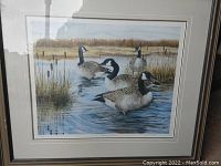 Framed print showing four Canada geese in water with reeds under glass with visible reflections.