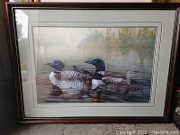 Framed Neil Blackwell print of two adult loons with two loon chicks on a lake, showing overall condition and framing.
