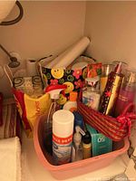 Assorted personal care and cleaning bottles and products in bins and baskets.
