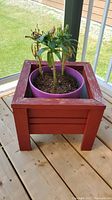 Front view of purple plastic pot with plant inside red wooden planter stand on wood floor.