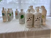 Front view of all bottles arranged on a table showing labels, shapes, and sizes.