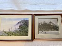 Photo showing two framed nature pictures side by side; a forest landscape and loon scene.