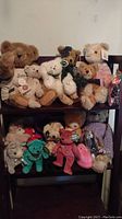 Front view of the shelf with all assorted stuffed bears arranged in two rows