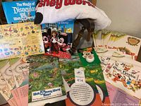 Displays the collection including multiple folded maps, hardcover books, Mickey Mouse Club yo-yo packaging, and the Disney World beach towel draped over a chair.