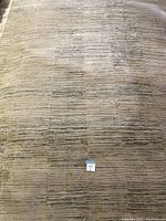 Full view of rectangular area rug with subtle horizontal stripe pattern in neutral tones.