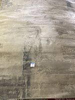 Full view of the mostly beige area rug with subtle abstract patterns.