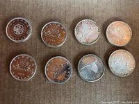 Eight coins arranged in two rows on cardboard, showing reverses of all eight silver dollars