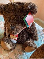 Close-up of large dark brown teddy bear with tag