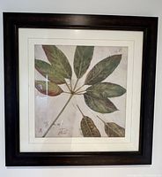 Full front view of framed botanical print with dark wood frame displaying leaf artwork behind glass.