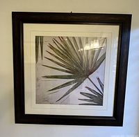 Complete view of the framed botanical print hanging on the wall.