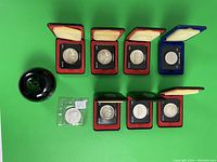 Overview of eight silver dollars in original leather cases plus one in plastic sleeve on green background