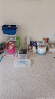 Wide shot showing all items grouped on carpet: plastic storage bins, disposable paper goods, and household tools.