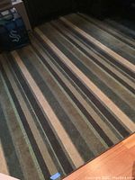 Photo showing the full area rug with visible striped color pattern in shades of brown, beige, green, and gray.