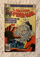 Front cover of The Amazing Spider-Man #205 comic book showing Spider-Man and Black Cat with issue details including price and date.