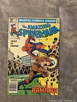 Front cover of the Amazing Spider-Man #221 comic book showing Spider-Man fighting Ramrod with city background and Marvel Comics Group header.