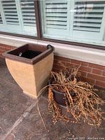 Side view of terra cotta planter with chip and dried plants nearby
