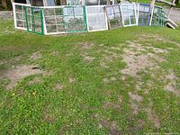 All ten wooden sash windows lined up on grass; mixed frame colors
