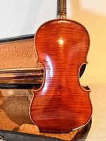 Back view of violin showing polished wood grain and finish