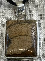 Close-up of the first Picture Jasper pendant necklace showcasing the natural stone pattern and silver plated setting.