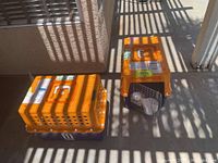 Photo of two orange pet carriers placed on the ground outdoors with sunlight and shadows visible. Both carriers have ventilation holes and handles, with wire doors attached to the front.