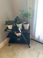 Front and angled view of the black wooden A-frame plant stand with three levels, showing various potted plants placed on shelves (plants not included).