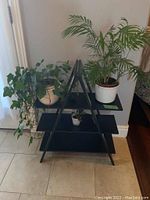 Full view of the black wood A-frame plant stand with three shelves holding two plants.