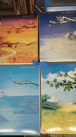 Photo of the front of the 4 original Barbie boxes showing season-themed artwork for Autumn Glory, Snow Princess, Spring Bouquet, and Summer Barbies.