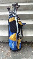 Full view of blue, black, yellow Titleist golf bag with clubs inside, standing on concrete steps outdoors.
