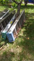 Photo showing two aluminum ladders leaned against a tree outdoors on grass with leaves scattered around