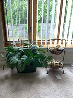 Faux plant next to two-tier metal basket stand with seashells on windowsill