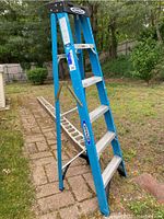 Blue Werner metal step ladder with 5 steps positioned outdoors on a brick and grass area.