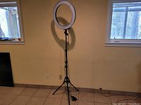 Full view of the Neewer 18-inch LED ring light mounted on the black foldable light stand in an indoor setting.