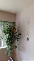 Wide angle view of two metal plant hangers placed on wallpapered wall, one with a live plant and red parrot decoration, other with small blue parrot figure.