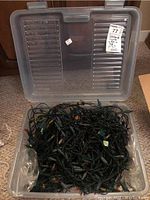 Clear plastic storage box open to reveal green wire Christmas string lights with small multi-colored bulbs tangled inside.