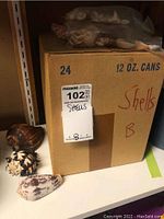 Box labeled 'Shells B' with three large shells visible on the shelf.