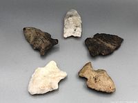 Five ancient stone arrowheads arranged on a grey surface showing variation in shape and color.