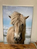 Full view of the entire framed pony print showing the pony facing forward with mane blowing to one side, set against a snowy background.