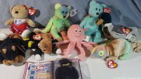 Wide shot of all 9 Ty Beanie Babies with tags visible, including a bear in cheerleader outfit, multicolored peace sign bear, pink octopus, and others, with booklet and pouch in front.