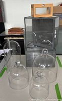 Two glass and metal display cases with locking feature, three glass cloches in different sizes, one glass dome, and a small wood and glass box on a table.