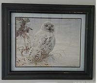 Framed print of a Snowy Owl by R. Bateman, showing some scratches on the dark wooden frame.