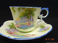 Side and front view of Aynsley Bluebell hand-painted tea cup and saucer with detailed gardenscape design and blue edging